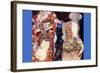 Adorn The Bride with Veil and Wreath-Gustav Klimt-Framed Art Print