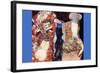 Adorn The Bride with Veil and Wreath-Gustav Klimt-Framed Art Print