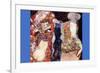 Adorn The Bride with Veil and Wreath-Gustav Klimt-Framed Premium Giclee Print