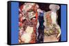 Adorn The Bride with Veil and Wreath-Gustav Klimt-Framed Stretched Canvas