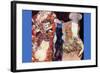 Adorn The Bride with Veil and Wreath-Gustav Klimt-Framed Art Print