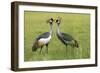 Adorned Duet-Staffan Widstrand-Framed Giclee Print