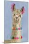 Adorned Llama III-Victoria Borges-Mounted Art Print