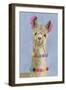 Adorned Llama III-Victoria Borges-Framed Art Print