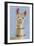 Adorned Llama III-Victoria Borges-Framed Art Print