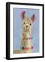 Adorned Llama III-Victoria Borges-Framed Art Print