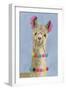 Adorned Llama III-Victoria Borges-Framed Art Print