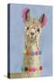 Adorned Llama III-Victoria Borges-Stretched Canvas