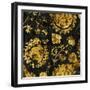 Adornment in Gold II-Ellie Roberts-Framed Art Print