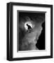 Adrenaline-null-Framed Premium Giclee Print