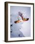 Adrenaline-null-Framed Premium Photographic Print