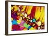 Adrenaline-PASIEKA-Framed Premium Photographic Print