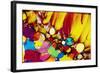 Adrenaline-PASIEKA-Framed Premium Photographic Print