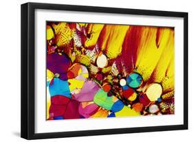 Adrenaline-PASIEKA-Framed Photographic Print