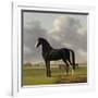 Adriaan Van Der Hoops Trotter De Vlugge, the Fast One in a Meadow-Anthony Oberman-Framed Art Print