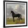 Adriaan Van Der Hoops Trotter De Vlugge, the Fast One in a Meadow-Anthony Oberman-Framed Art Print