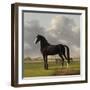 Adriaan Van Der Hoops Trotter De Vlugge, the Fast One in a Meadow-Anthony Oberman-Framed Art Print