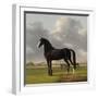 Adriaan Van Der Hoops Trotter De Vlugge, the Fast One in a Meadow-Anthony Oberman-Framed Art Print