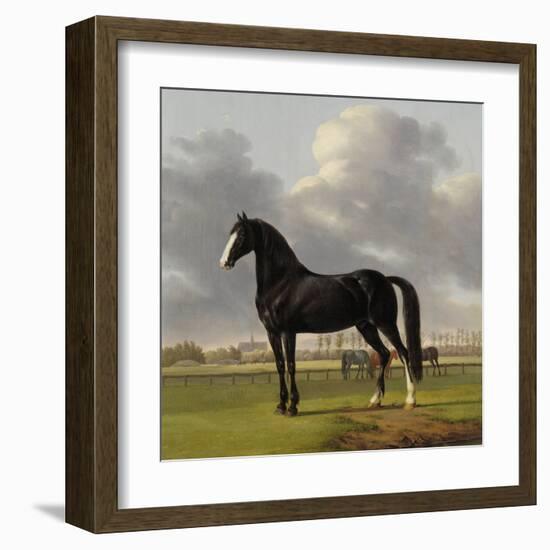 Adriaan Van Der Hoops Trotter De Vlugge, the Fast One in a Meadow-Anthony Oberman-Framed Art Print
