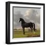 Adriaan Van Der Hoops Trotter De Vlugge, the Fast One in a Meadow-Anthony Oberman-Framed Art Print