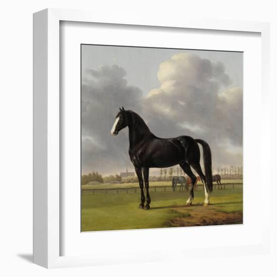 Adriaan Van Der Hoops Trotter De Vlugge, the Fast One in a Meadow-Anthony Oberman-Framed Art Print