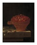 A Sprig of Gooseberries on a Stone Plinth-Adriaen Coorte-Art Print