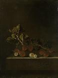 A Sprig of Gooseberries on a Stone Plinth-Adriaen Coorte-Art Print