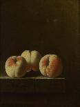 A Sprig of Gooseberries on a Stone Plinth-Adriaen Coorte-Art Print