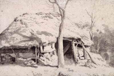 A Sheepfold in the Forest