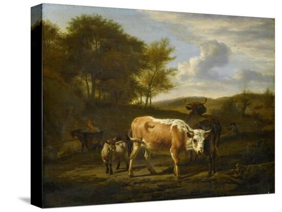 Stretched Canvas Print, , large