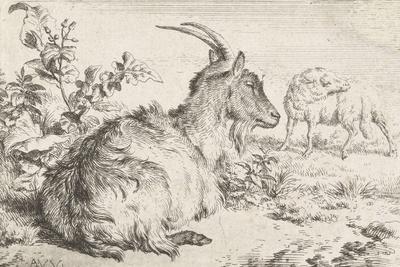 Lying goat, 1670