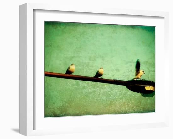 Adrian, Adrien-Cristina Carra Caso-Framed Photographic Print