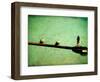 Adrian, Adrien-Cristina Carra Caso-Framed Photographic Print