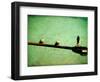 Adrian, Adrien-Cristina Carra Caso-Framed Photographic Print