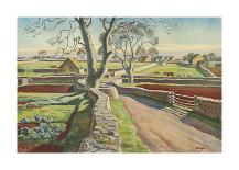 Cotswold Pattern-Adrian Allinson-Premium Giclee Print