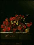 Still Life with Wild Strawberries in a Chinese Bowl-Adrian Coorte-Giclee Print