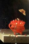 Still Life with Wild Strawberries in a Chinese Bowl-Adrian Coorte-Giclee Print