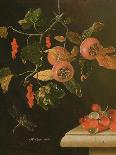 Still Life with Hazel-Nuts, 1696-Adrian Coorte-Framed Giclee Print