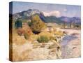 Stretched Canvas
