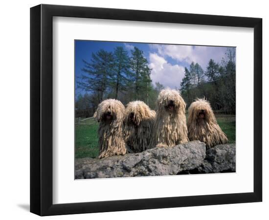 Premium Photographic Print, , large