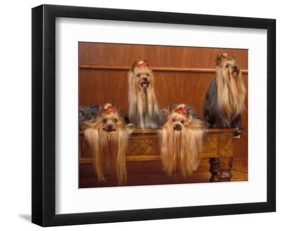Premium Photographic Print, , large