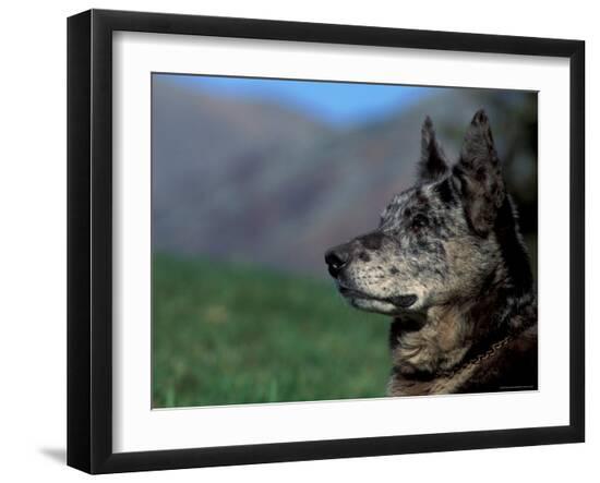 Photographic Print, , large