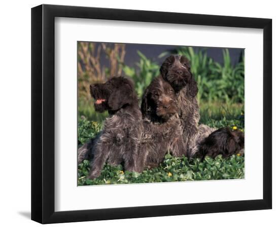 Premium Photographic Print, , large