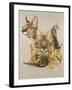 Adroit-Barbara Keith-Framed Giclee Print