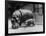 Adult and Baby Hippopotamus-null-Framed Photographic Print