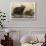 Adult and young capybara (Hydrochaeris hydrochaeris) on Cuiaba River bank, Pantanal, Mato Grosso, B-Sergio Pitamitz-Framed Photographic Print displayed on a wall