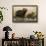 Adult and young capybara (Hydrochaeris hydrochaeris) on Cuiaba River bank, Pantanal, Mato Grosso, B-Sergio Pitamitz-Framed Photographic Print displayed on a wall