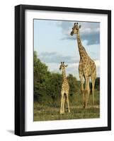 Adult and Young Giraffe Etosha National Park, Namibia, Africa-Ann & Steve Toon-Framed Photographic Print