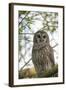 Adult Barred Owl, Strix Varia, in an Oak Tree Hammock, Florida-Maresa Pryor-Framed Photographic Print