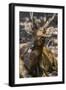 Adult Buck Timor Rusa Deer (Cervus Timorensis), Komodo National Park, Komodo Island, Indonesia-Michael Nolan-Framed Photographic Print